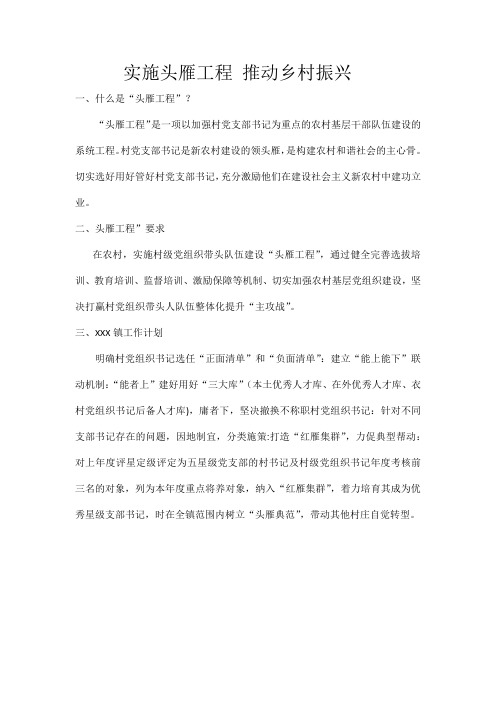 实施头雁工程 推动乡村振兴