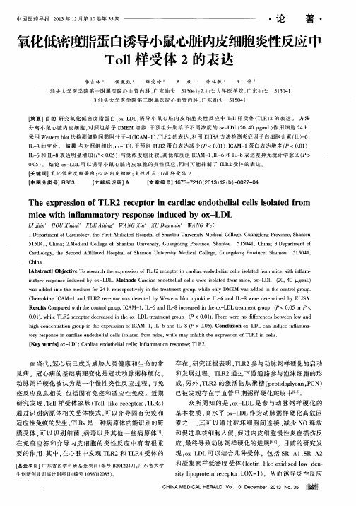 氧化低密度脂蛋白诱导小鼠心脏内皮细胞炎性反应中Toll样受体2的表达