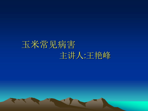 玉米常见病害
