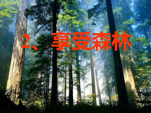 二年级下册语文课件-2. 享受森林丨沪教版 (共22张PPT)