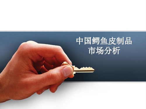 中国鳄鱼皮制品市场分析报告