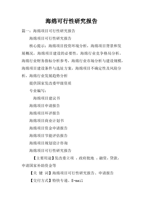 海绵可行性研究报告doc