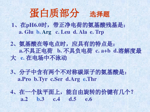 生物化学习题课-蛋白