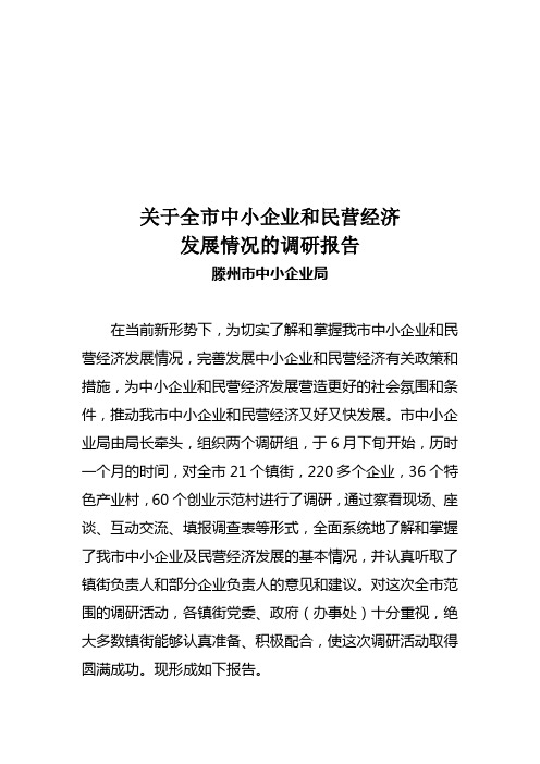 对全市中小企业与民营经济发展情况的调研报告