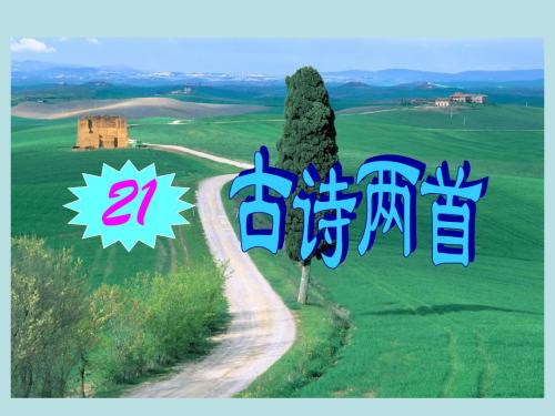 古诗两首(锄禾、悯农)PPT