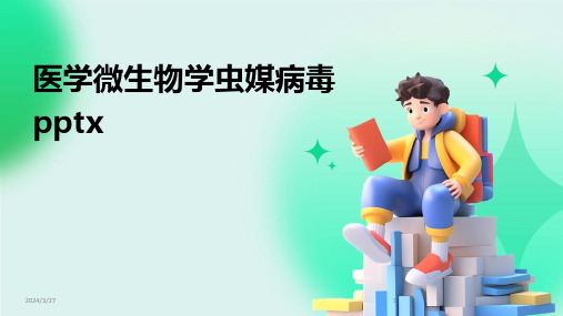医学微生物学虫媒病毒pptx-2024鲜版