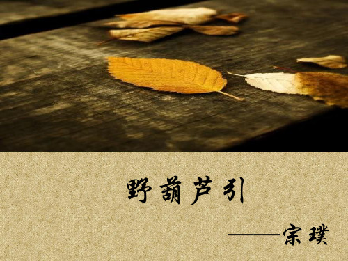 野葫芦引读后感