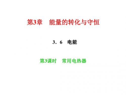 新浙教版九年级科学上册习题课件：3.6 电能 第3课时 常用电热器