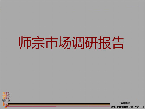 师宗市场调研报告(ppt 37页)
