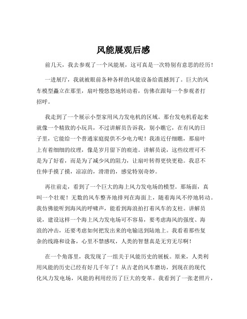 风能展观后感