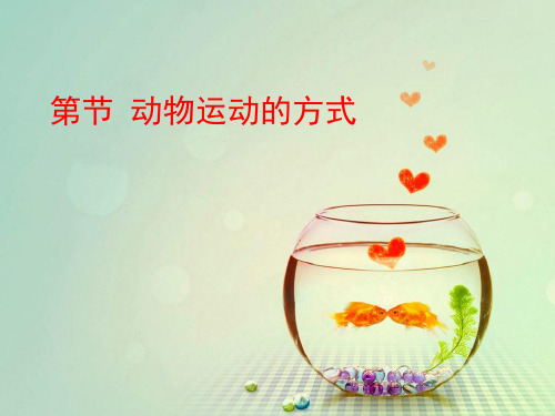 《动物运动的方式》PPT课件(上课用)