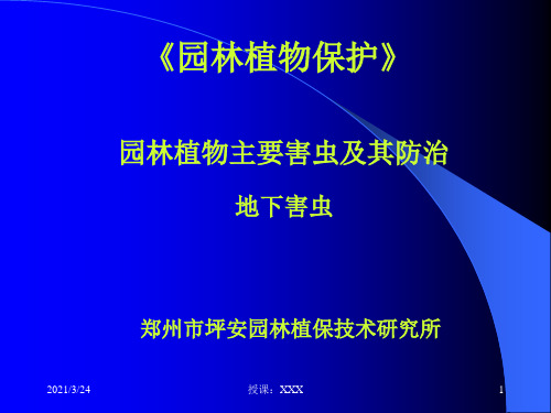 地下害虫防治新技术PPT课件