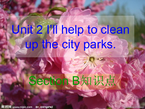 八年级英语下册unit2 I'll help...section B 知识点。