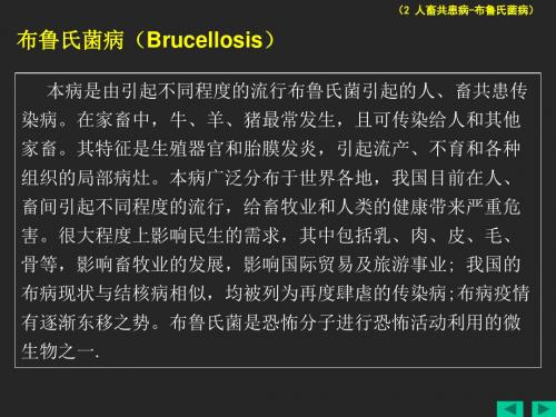 布鲁氏菌病Brucellosis