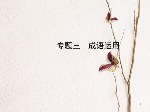 (济南专版)中考语文总复习 专题三 成语运用课件.pptx