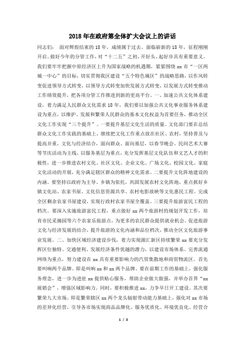 2018年在政府第全体扩大会议上的讲话