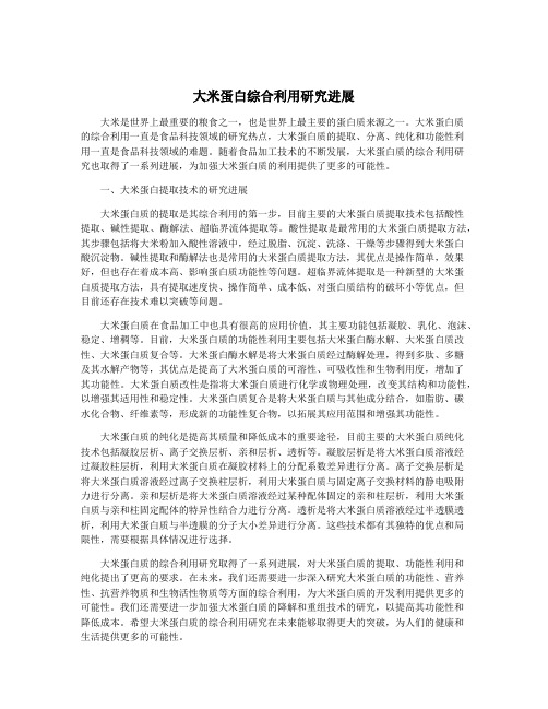 大米蛋白综合利用研究进展