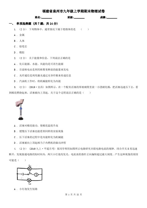 福建省泉州市九年级上学期期末物理试卷
