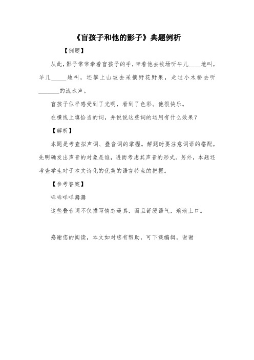 《盲孩子和他的影子》典题例析
