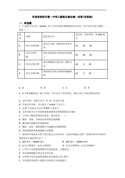 河南省洛阳市第一中学人教版生物必修一试卷(含答案)