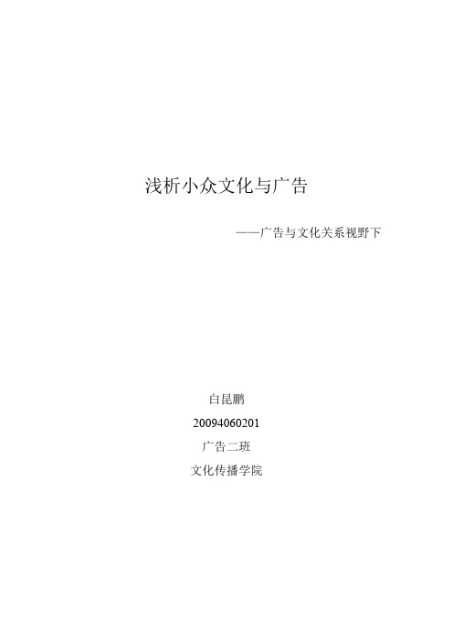 小众文化与广告.doc