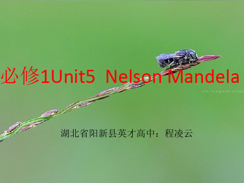 英语：必修1-Unit5-Nelson-Mandela-a-modern-hero词汇总结课件(新人教版)(201910)
