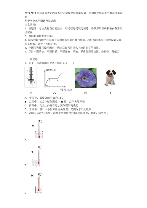 2023-2024学年江苏省东海晶都双语学校物理九年级第一学期期中学业水平测试模拟试题含解析