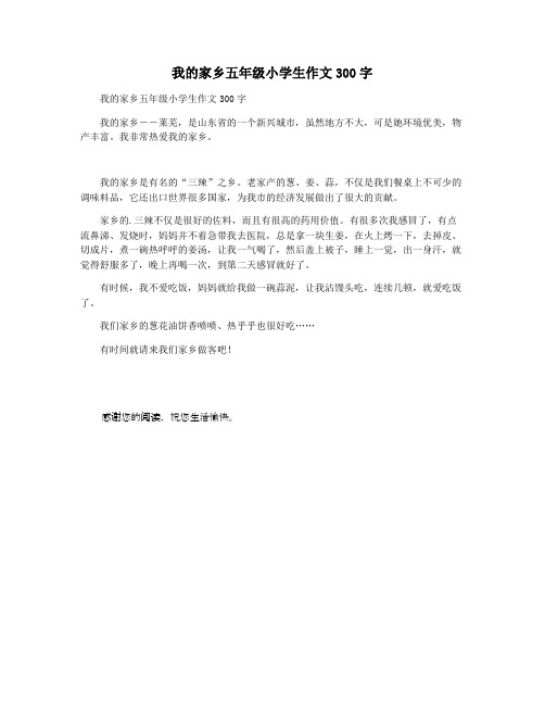 我的家乡五年级小学生作文300字