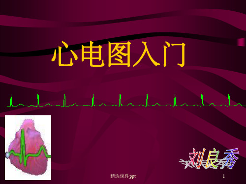 《心电图讲》PPT课件