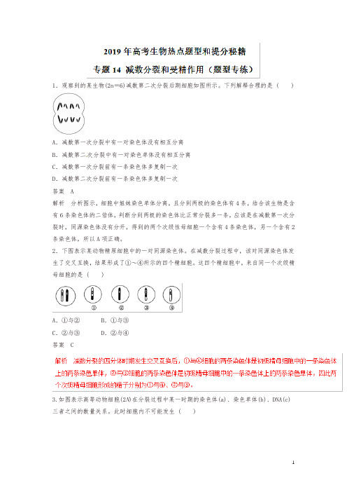 2019年高考生物提分秘籍：专题14-减数分裂和受精作用(题型专练,含答案)