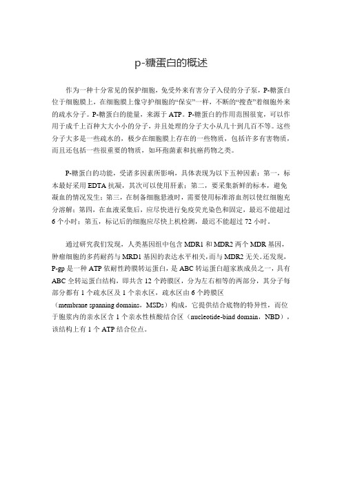 p-糖蛋白的概述
