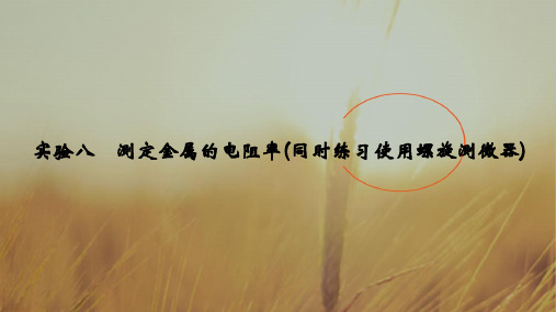 2019届高考物理一轮复习全国版课件：第八章 恒定电流 实验八 精品