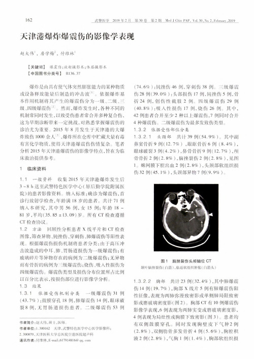 天津港爆炸爆震伤的影像学表现