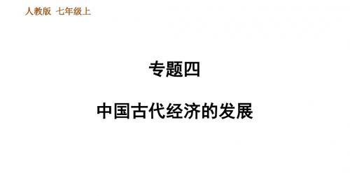 人教部编7年级历史上册期末专项复习专题四中国古代经济的发展