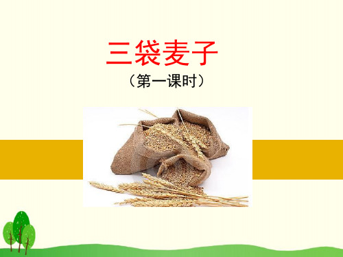 《三袋麦子》教学课件PPT