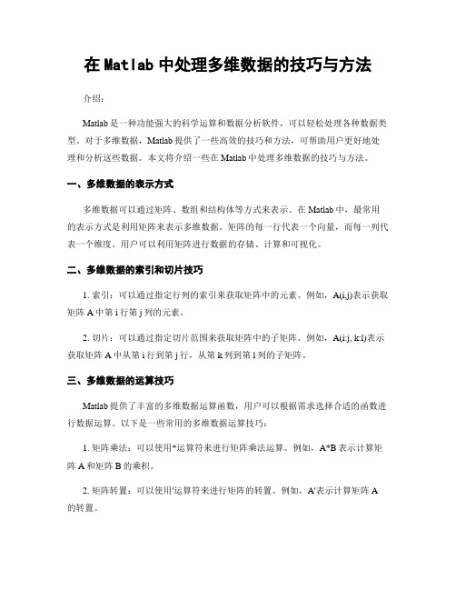 在Matlab中处理多维数据的技巧与方法