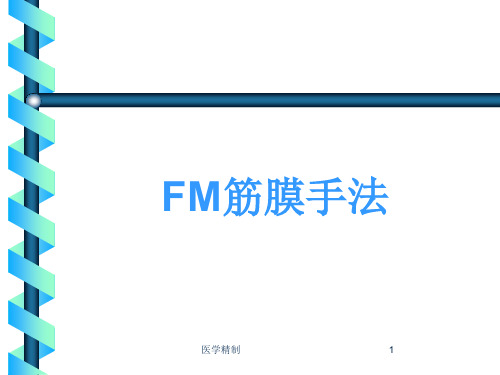 FM筋膜手法(内容详细)