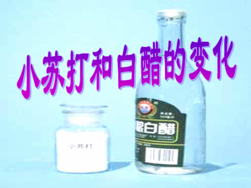 【教科版】小苏打和白醋的变化PPT精美课件2
