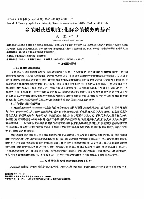 乡镇财政透明度：化解乡镇债务的基石
