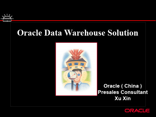 Oracle数据仓库解决方案 