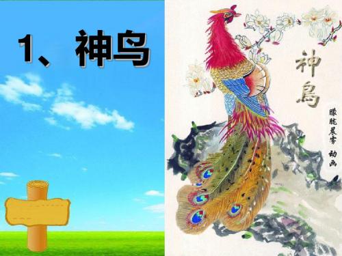 五下《神鸟》ppt课件全面版
