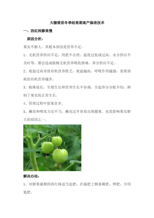 冬季保护地西红柿高产栽培技术