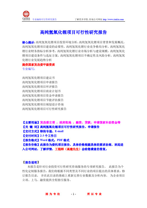 高纯氢氧化锂项目可行性研究报告