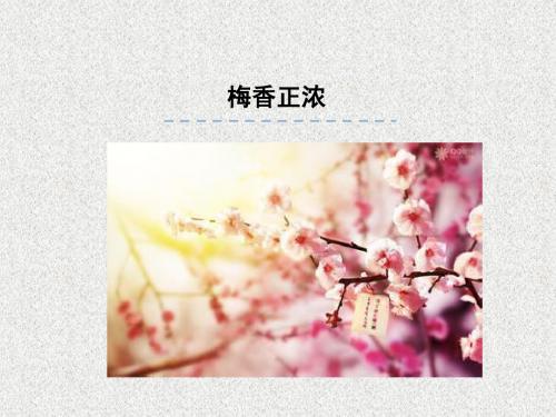 最新-六年级上册语文课件-梅香正浓｜北师大版 (共19张PPT)-PPT文档资料