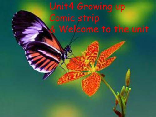 牛津版九年级上Unit4 Welcome to the unit课件(18张PPT)