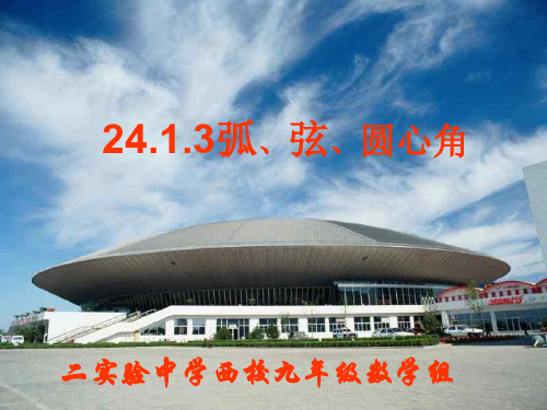 弧弦圆心角--华师大版