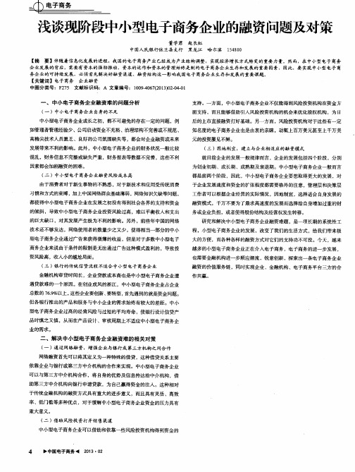 浅谈现阶段中小型电子商务企业的融资问题及对策