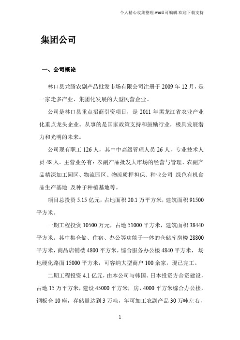 集团公司简介与发展