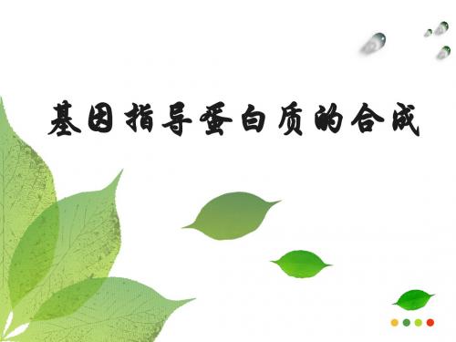 人教版必修2第四章第一节基因的表达--基因指导蛋白质的合成(共27张PPT)