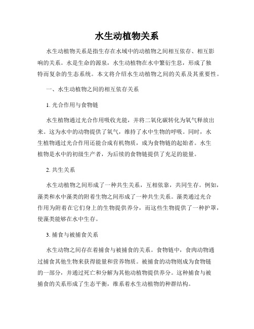 水生动植物关系